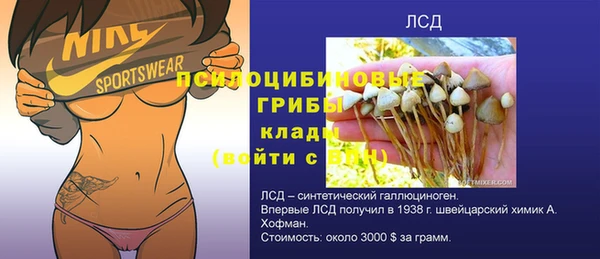 шишки Елабуга