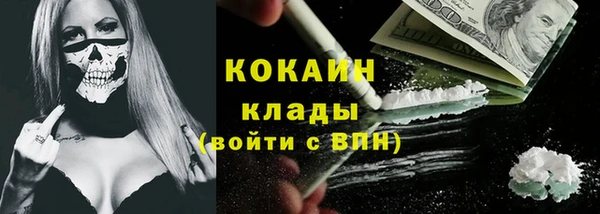 шишки Елабуга