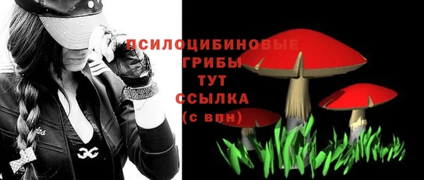 шишки Елабуга