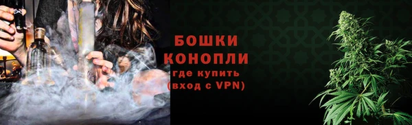 шишки Елабуга