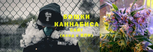 шишки Елабуга